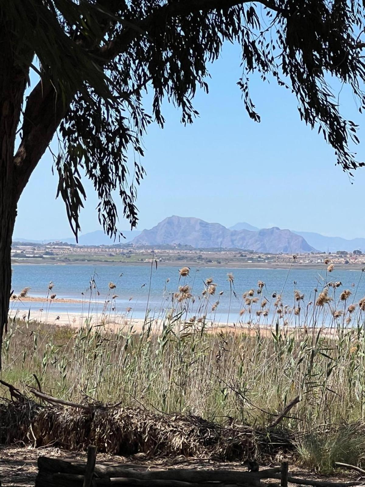 107 Sea Side - Alicante Holiday لا ماتا المظهر الخارجي الصورة